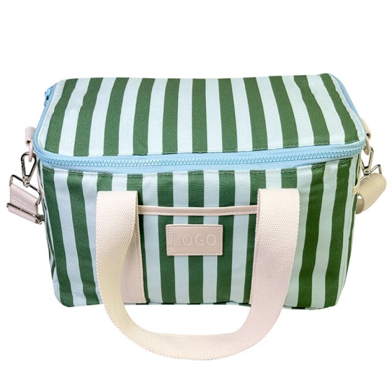 Lunch insulation bag